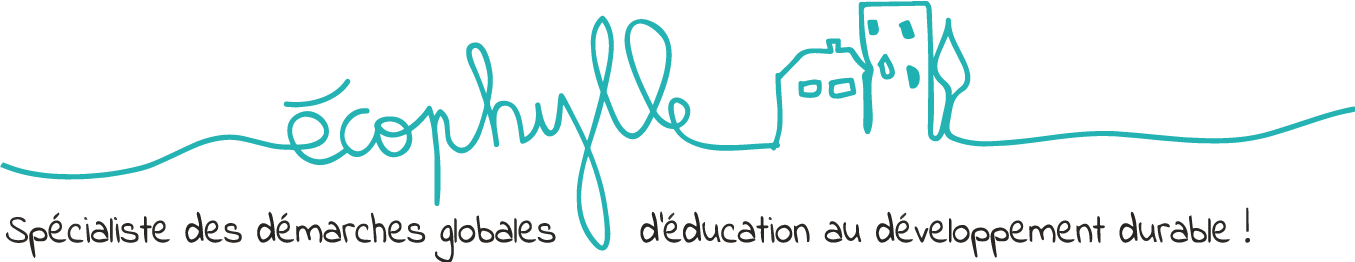 pictos formations idpop